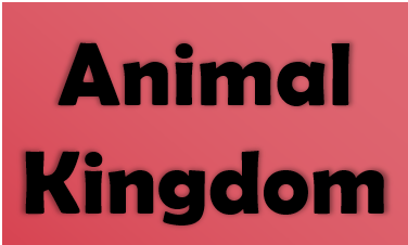 animal kingdom