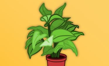 plant kingdom