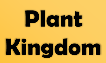 plant kingdom